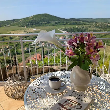 Belvedere Motovun