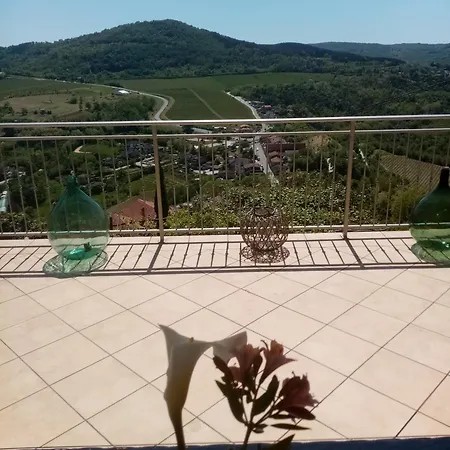 Belvedere *
