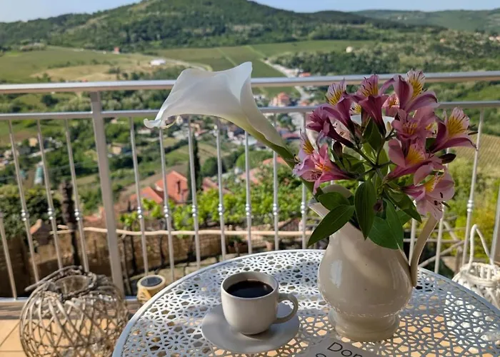 Bel Motovun